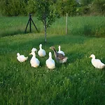 Farma Przy Kominie Piecki (Warmian-Masurian)