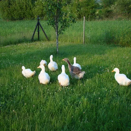 Farm stay Przy Kominie Piecki (Warmian-Masurian)
