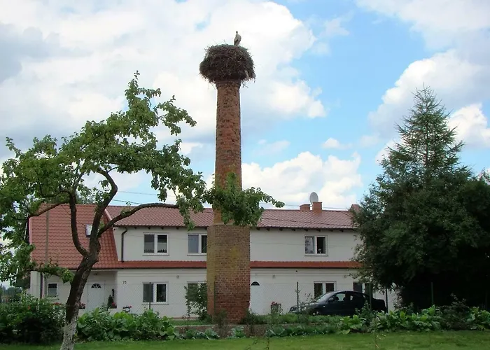Farm stay Przy Kominie